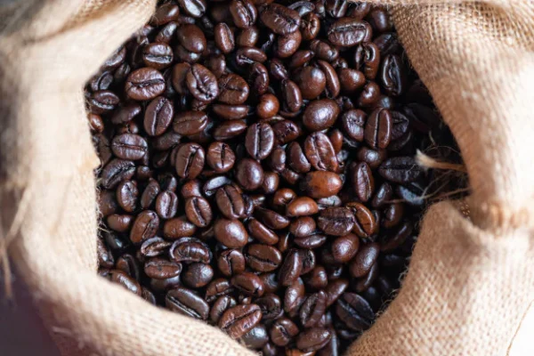 Arabica Coffee Beans Supplier