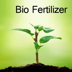 Bio Fertilizer Supplier