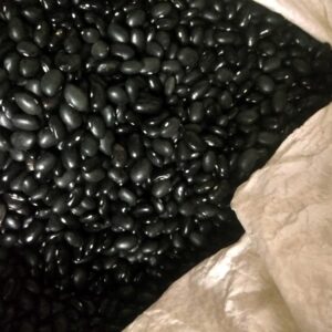 Black Beans Supplier