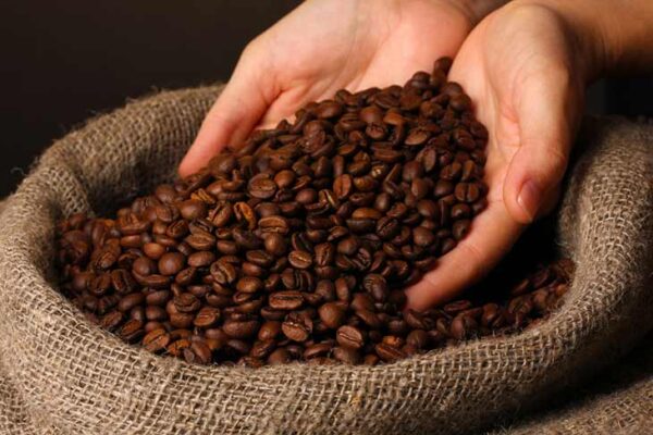 Blended Coffee Beans Supplier