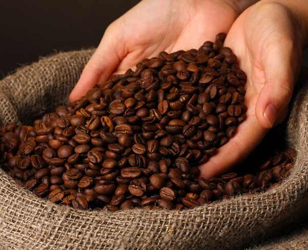 Blended Coffee Beans Supplier