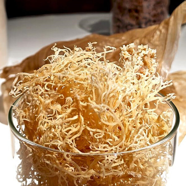 Carrageenan Supplier