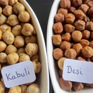 Chickpeas Supplier (Kabuli & Desi)