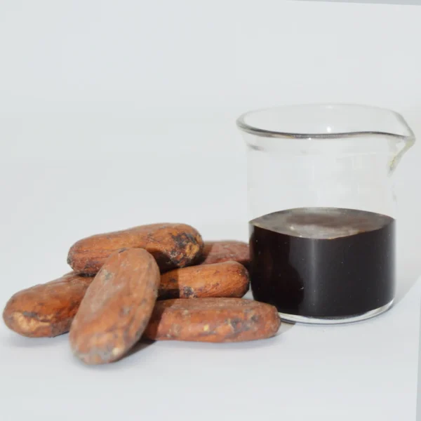 Cocoa Aroma Supplier