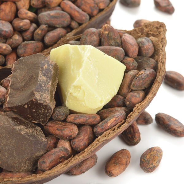 Cocoa Butter Replacer (CBR) Supplier