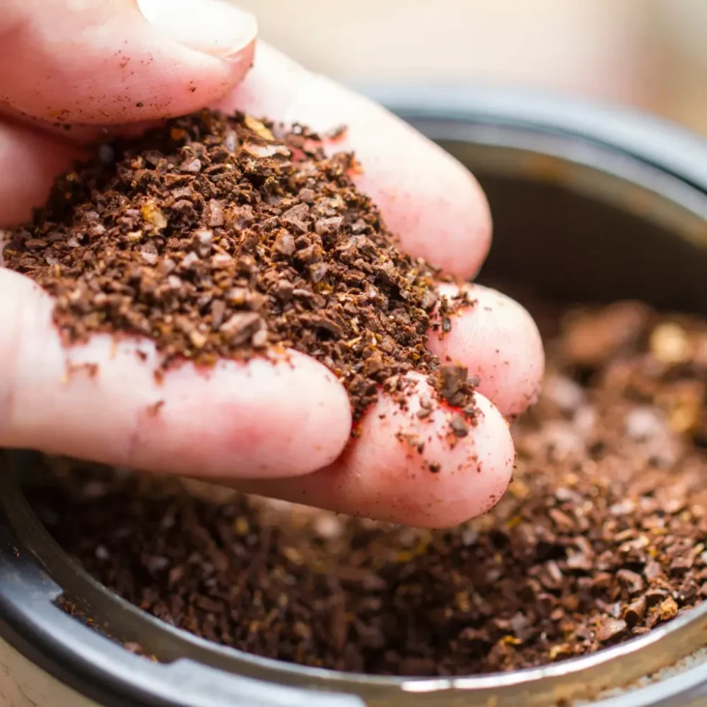 Cold Brew Ground Coffee Supplier