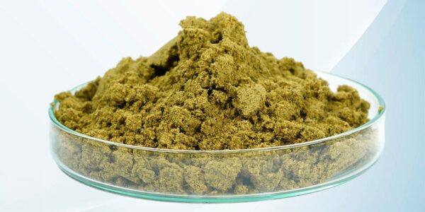 Fish Meal Supplier