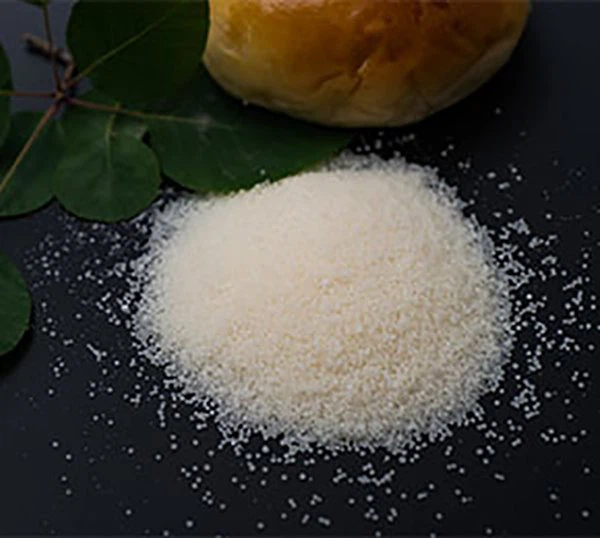 Halal Gelatin Powder Supplier