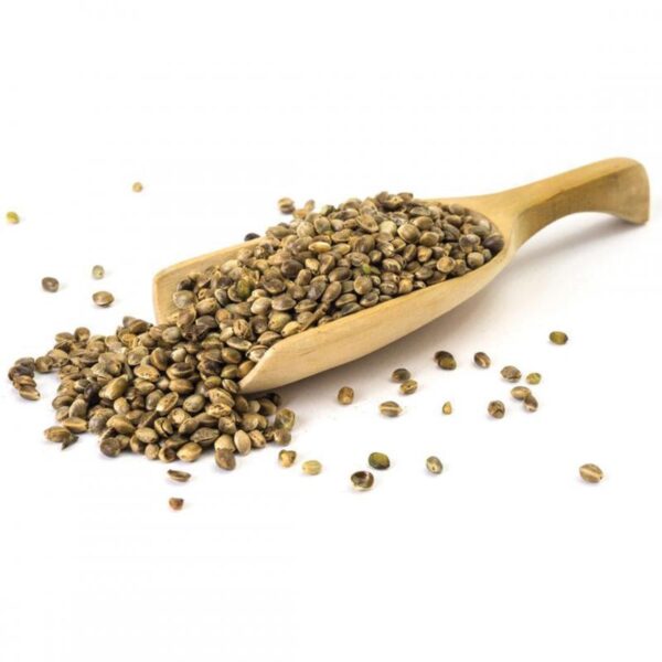 Hemp Protein Supplier