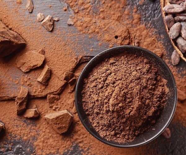 Instant Cocoa Powder Supplier