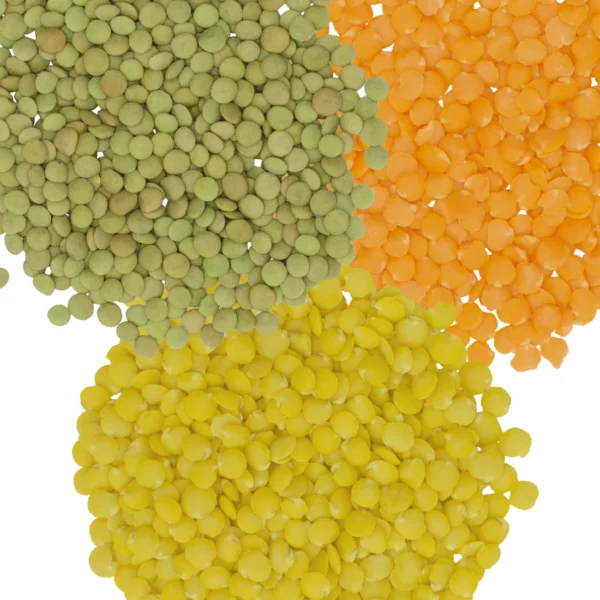 Lentils Supplier (Green, Red, Yellow)