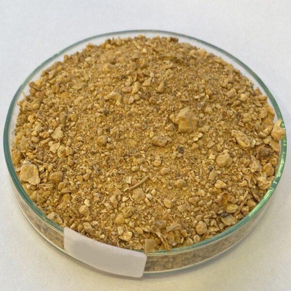 Meat & Bone Meal (MBM) Supplier