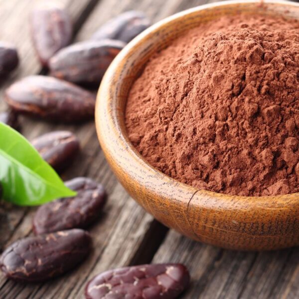 Organic Cocoa Powder Supplier