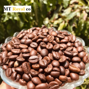 Organic Coffee Beans Supplier
