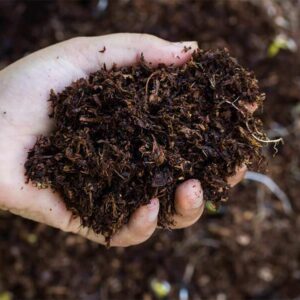 Organic Compost Fertilizer Supplier