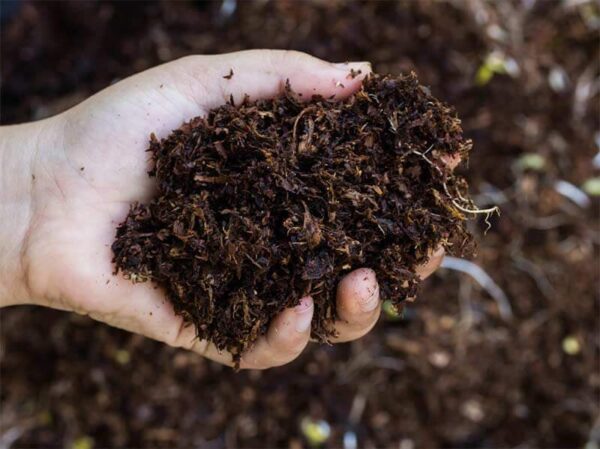 Organic Compost Fertilizer Supplier