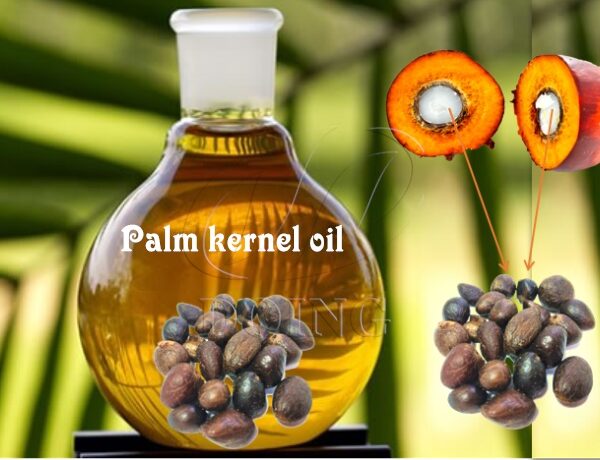 Palm Kernel Oil Supplier