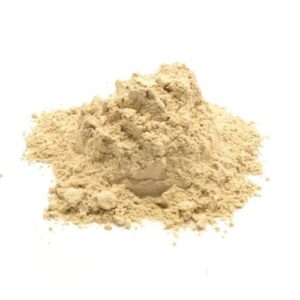 Protease Enzyme Supplier