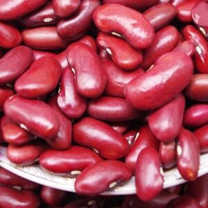 Red Kidney Beans Supplier