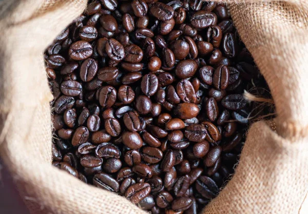 Robusta Coffee Beans Supplier