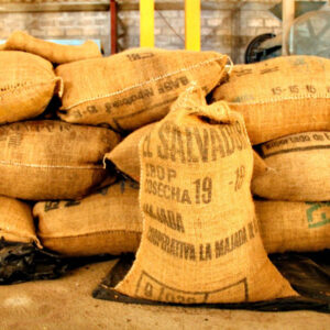 Single-Origin Coffee Beans Supplier