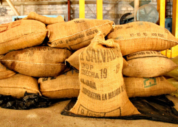 Single-Origin Coffee Beans Supplier