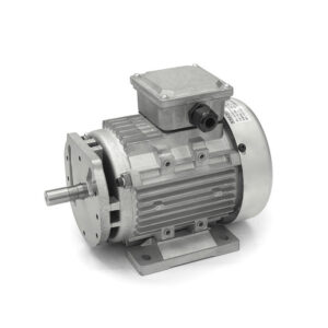Single Phase Motor Supplier