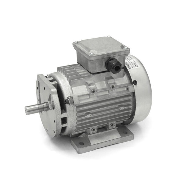 Single Phase Motor Supplier