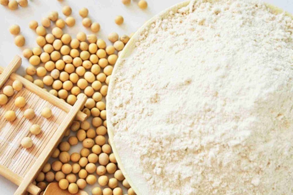 Soy Protein Isolate Supplier