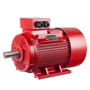 Three Phase Induction Motor Supplier