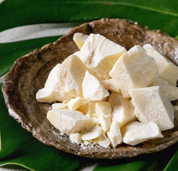 Vegetable Fat for Chocolate Supplier