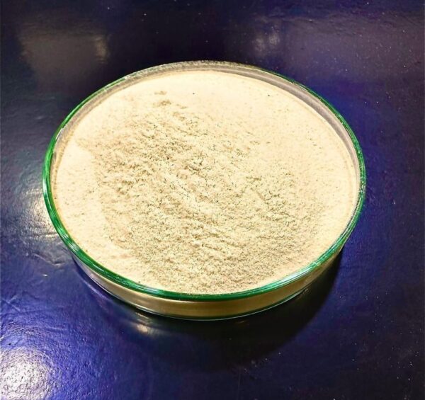 Vitamin Premix Supplier