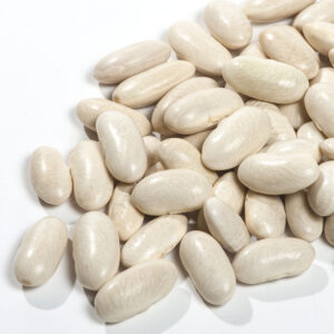 White Beans Supplier / Navy Beans Supplier