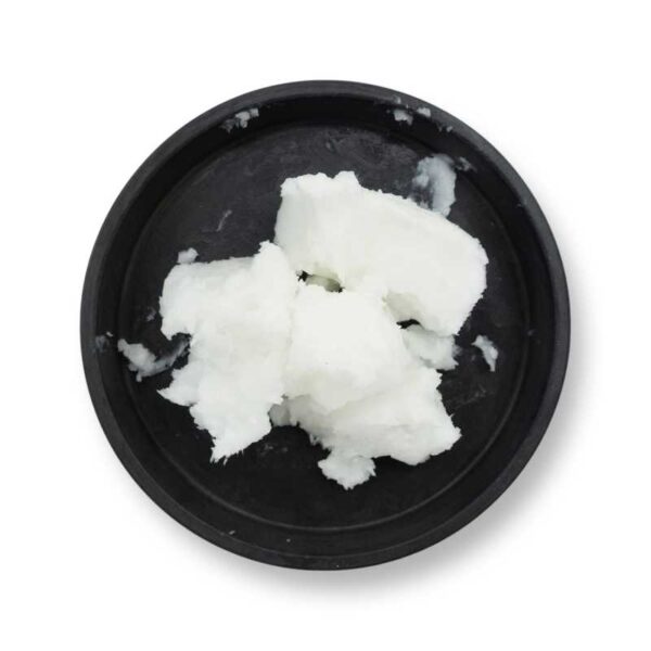 Illipe Butter Supplier