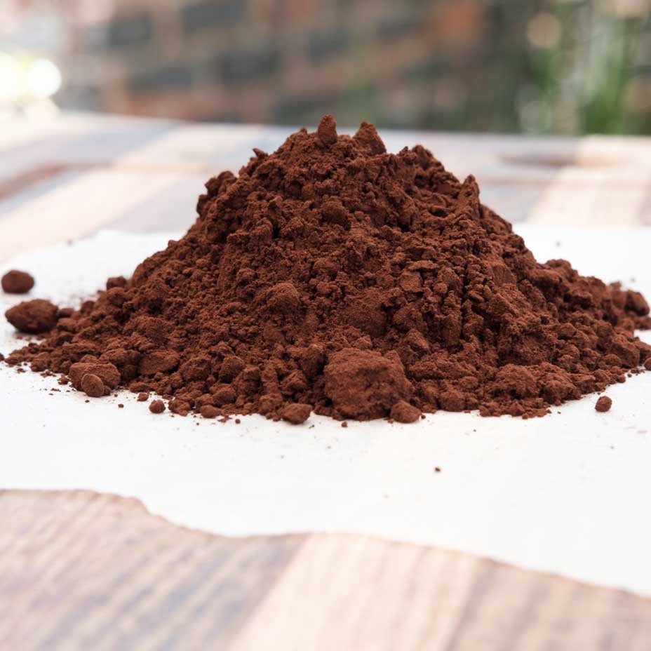 Alkalized cocoa powder for protein bars