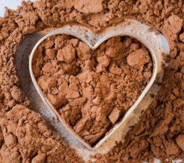 Alkalized cocoa powder market analysis