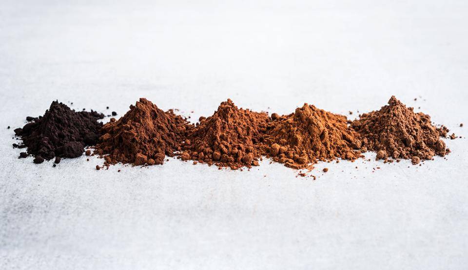 Bensdorp vs Latamarko Cocoa Powder
