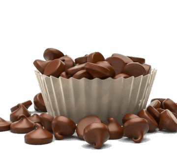 Besler Cocoa Butter Substitute Besler Cocoa Butter Substitute