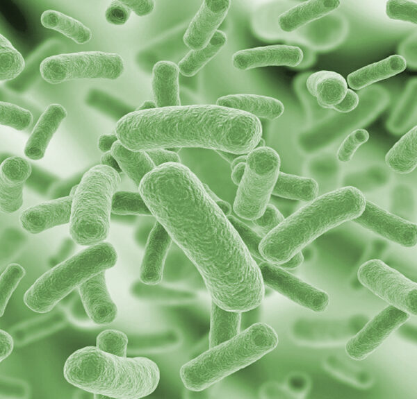 Biocide & Antimicrobial Agent Supplier