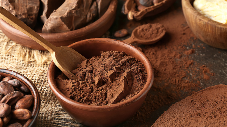 Bulk Cocoa Powder Supplier in United Arab Emirates