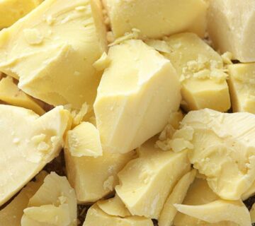 Cocoa Butter Alternatives ( CBE - CBR )