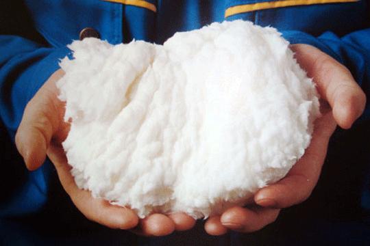 Dissolving Pulp Supplier