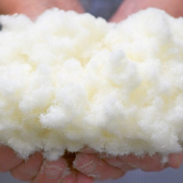 Dissolving Pulp Supplier