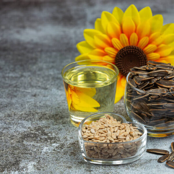 Lecithin (Soy or Sunflower) Supplier
