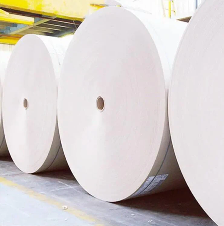 PLA Coated Paper Supplier