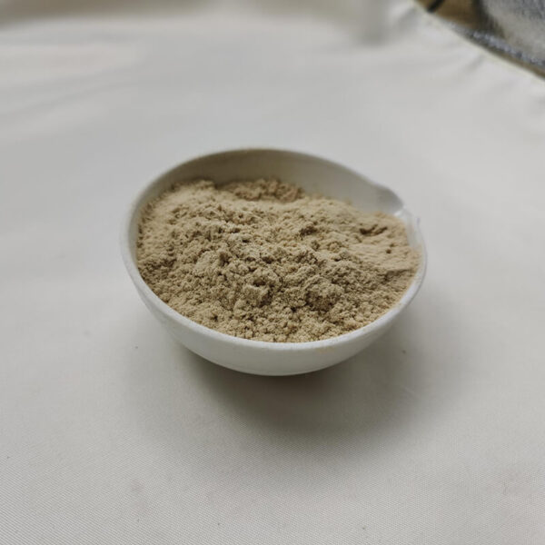 Saccharomyces Cerevisiae Supplier