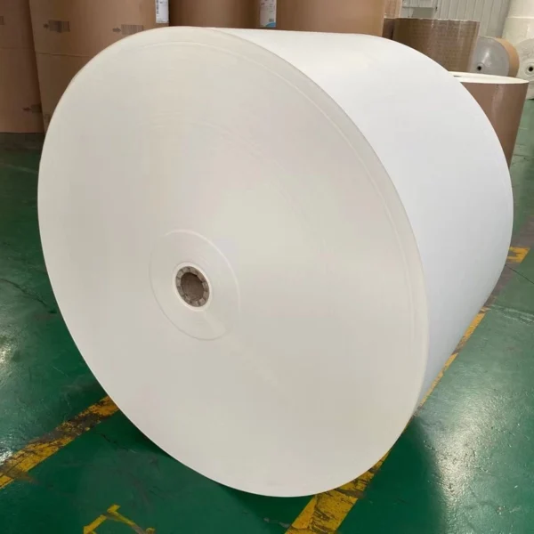 Stiff Cup Paper Supplier