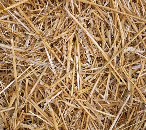 Straw Pulp Supplier