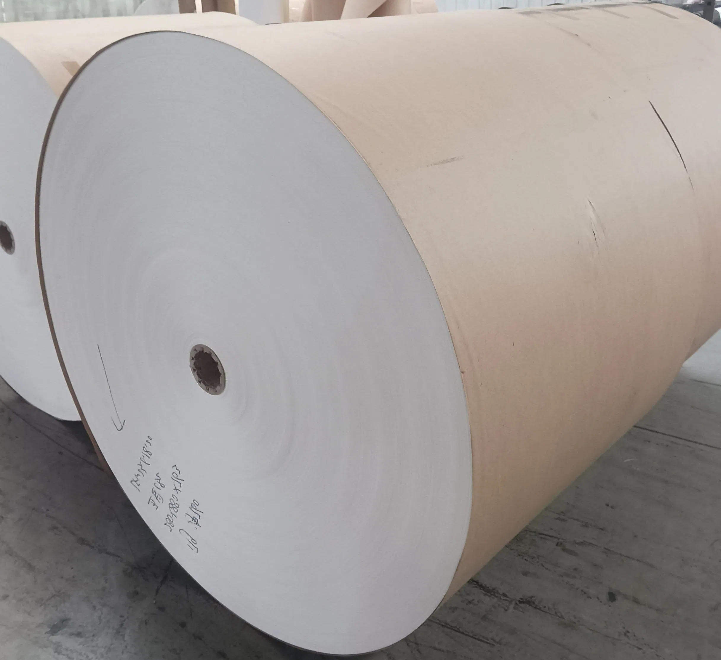 Waterproof Cupstock Supplier