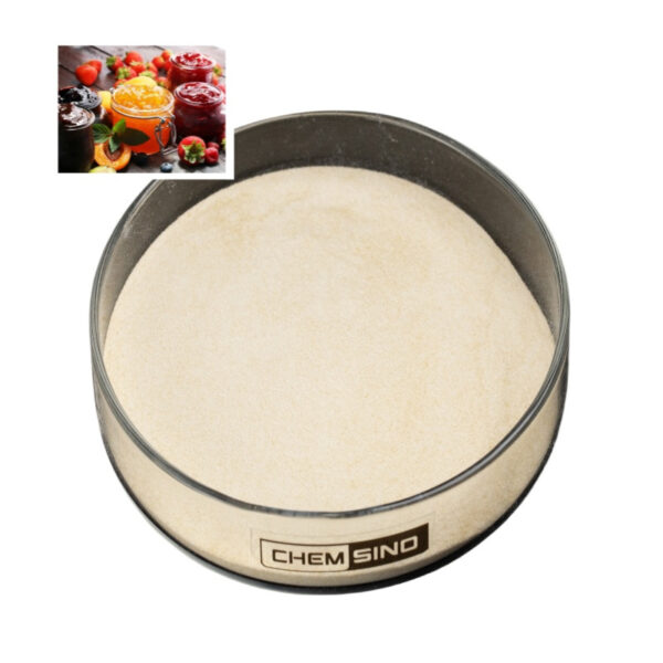 Xylanase Enzyme Supplier